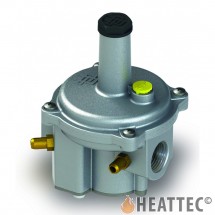 Gas pressure governor FGDR