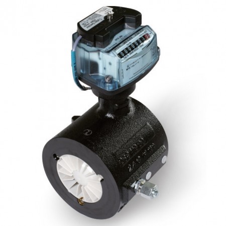Itron Gas Meter MZ100