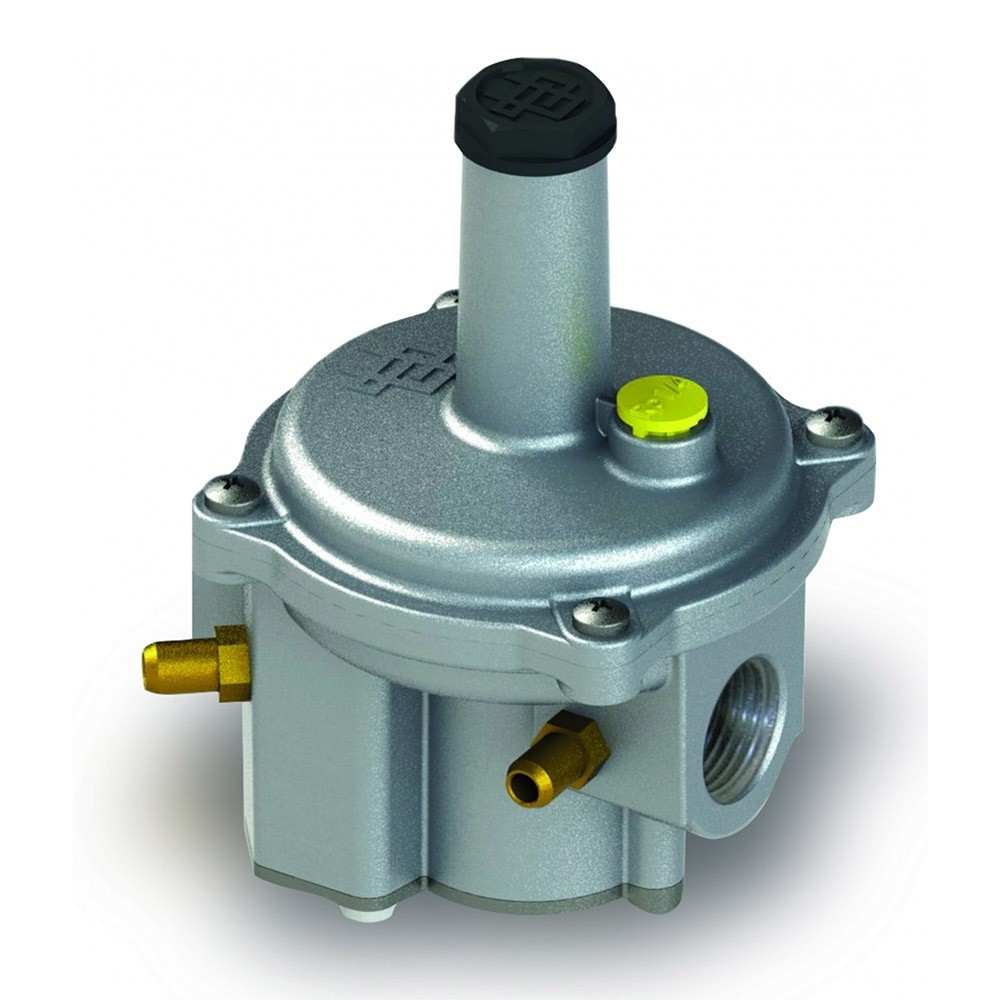 IBS Gas pressure governor FGDR (Giuliani Anello) Heattec®