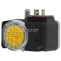 Dungs Pressure Switch GW10A5 225938