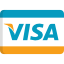 Credit card Visa